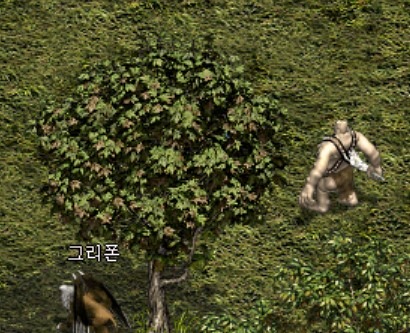 싸이밭 사진.jpg